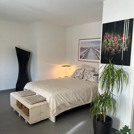 Lorraine Apartment Bern Exterior photo